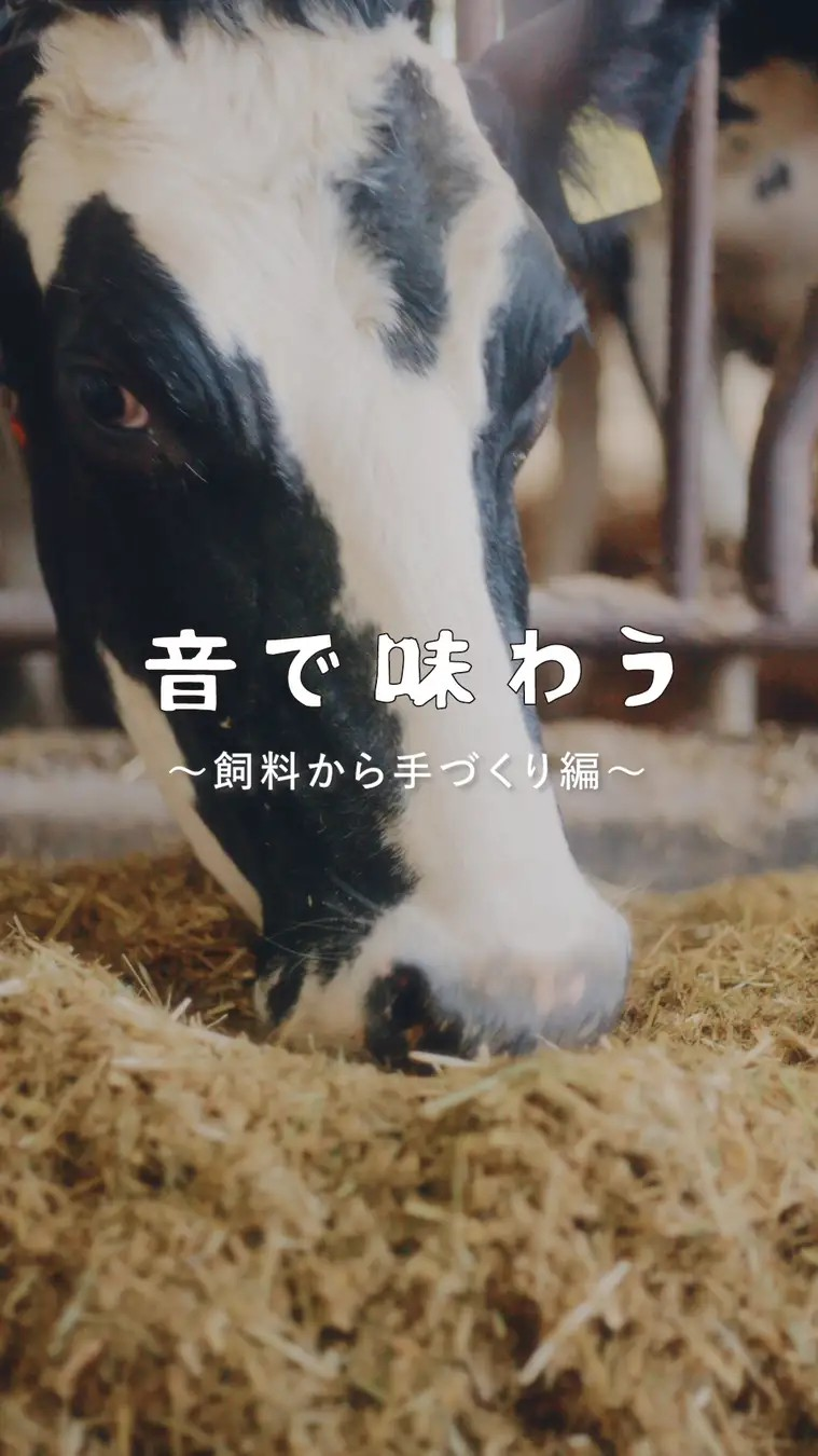面白動画