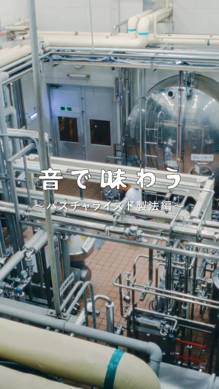 面白動画