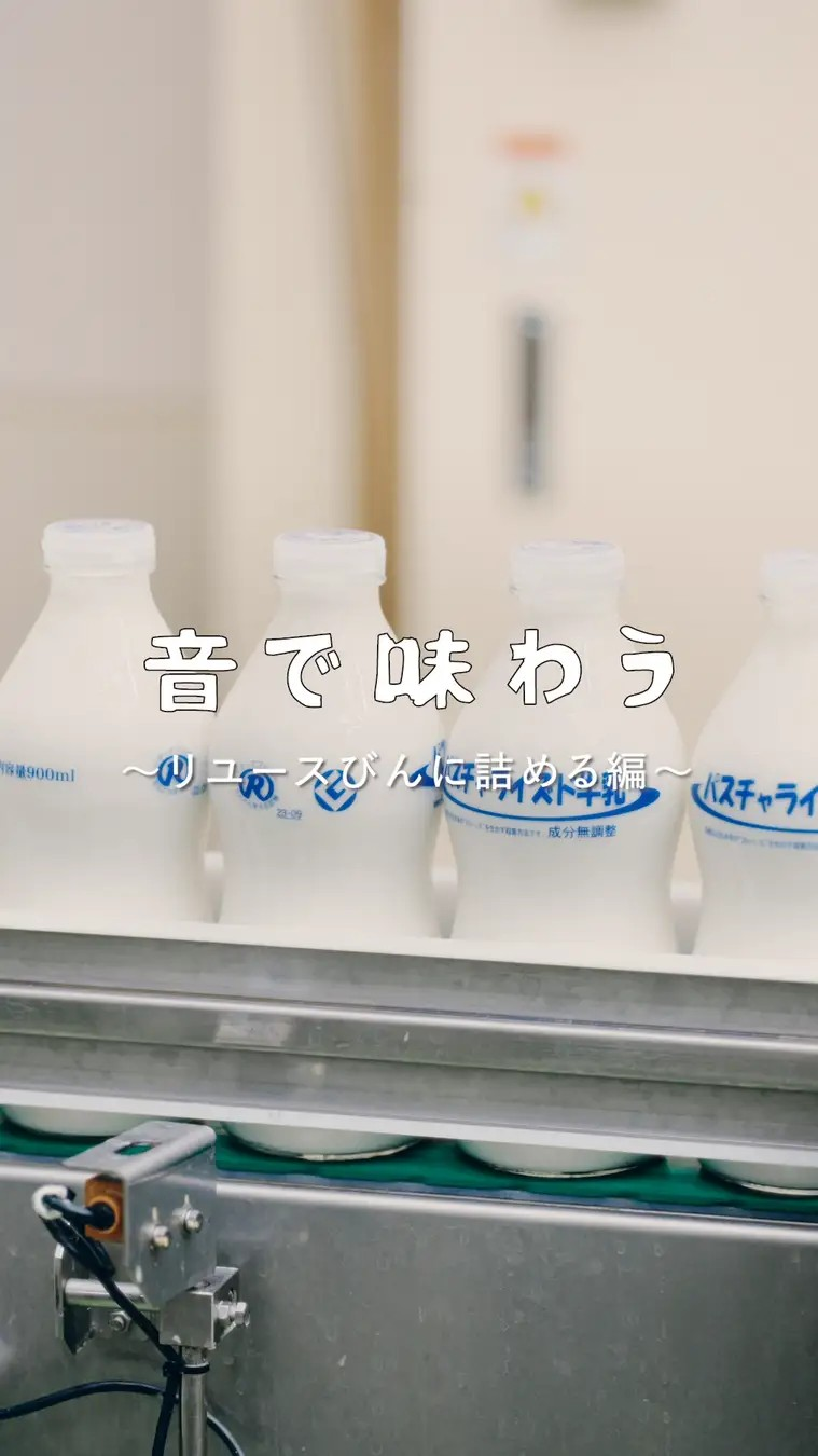 面白動画