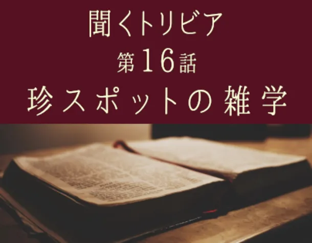 面白動画